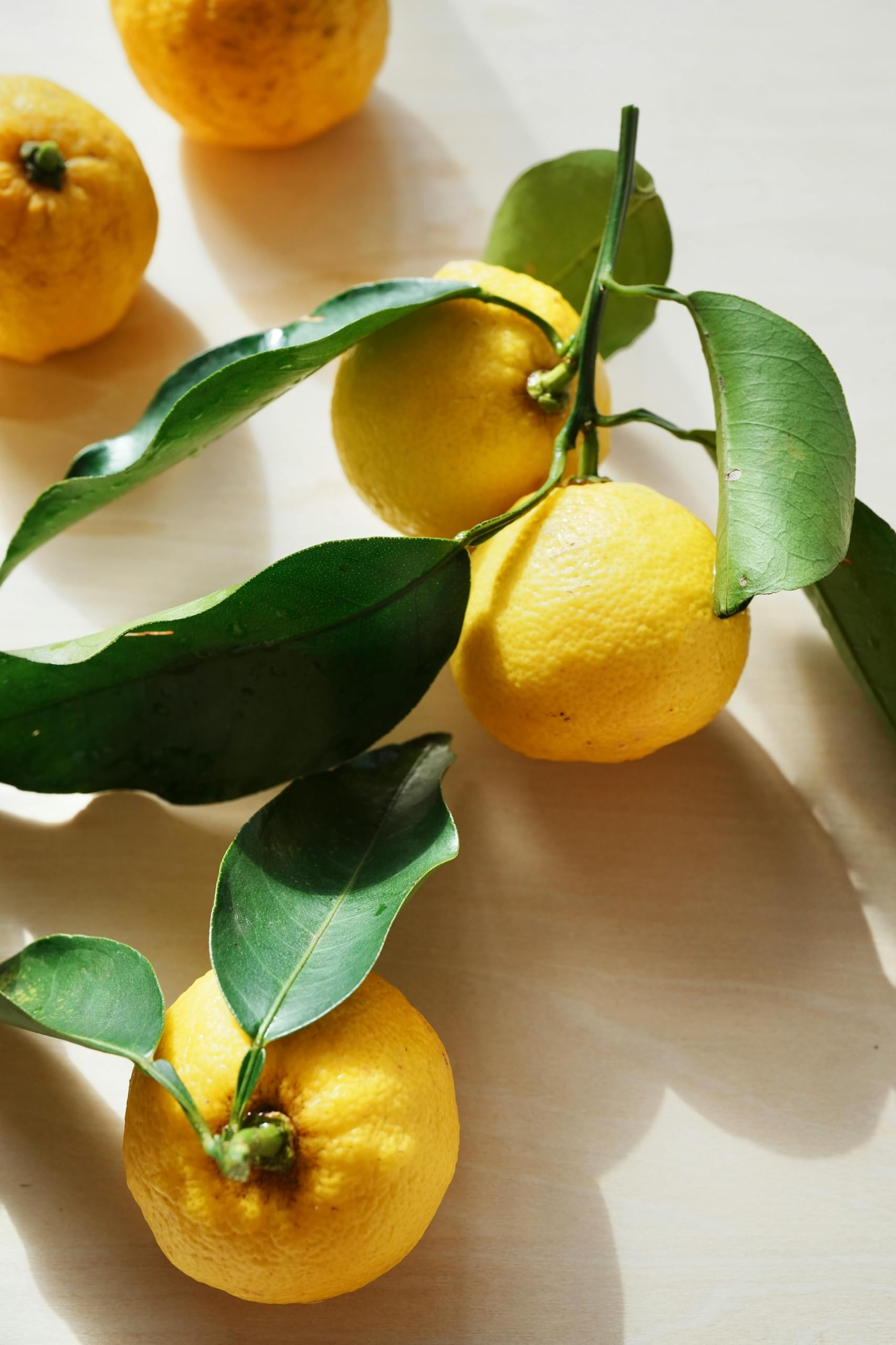Ponthier YUZU PÜREE Japanische-Zitrus-Frucht-Püree Yuzumark 1kg für Frucht-Yuzukosho-Smoothie-Sorbet-Quark-Gelée-Saft-Sake ausgewählte Früchte bester Qualität (1, 1kg)