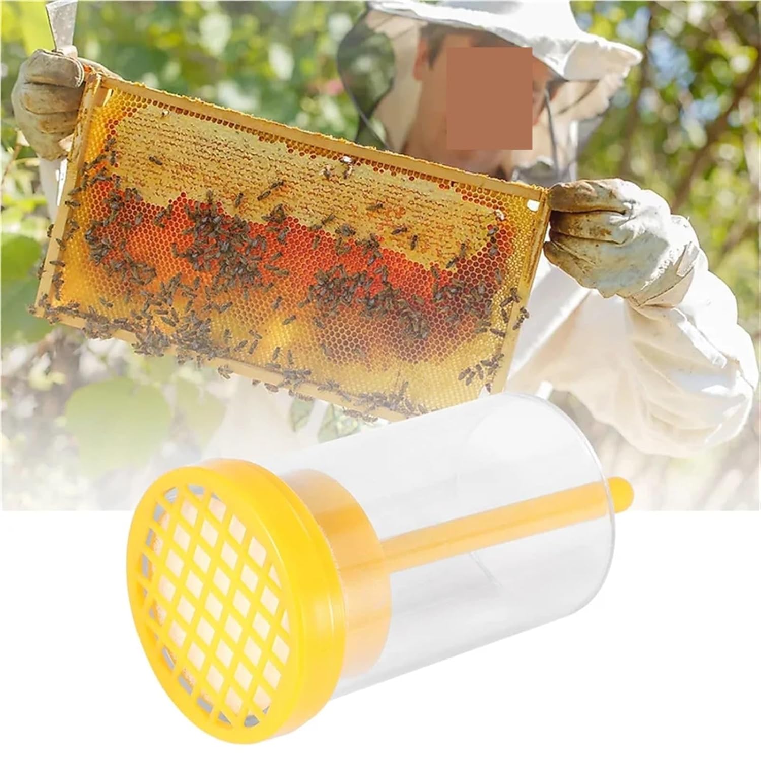 Beekeeping, Five Queen Bee Marking Bottles are Used in Beekeeping Equipment for The Non-Harmful Capture of Bees,for Beekeepers