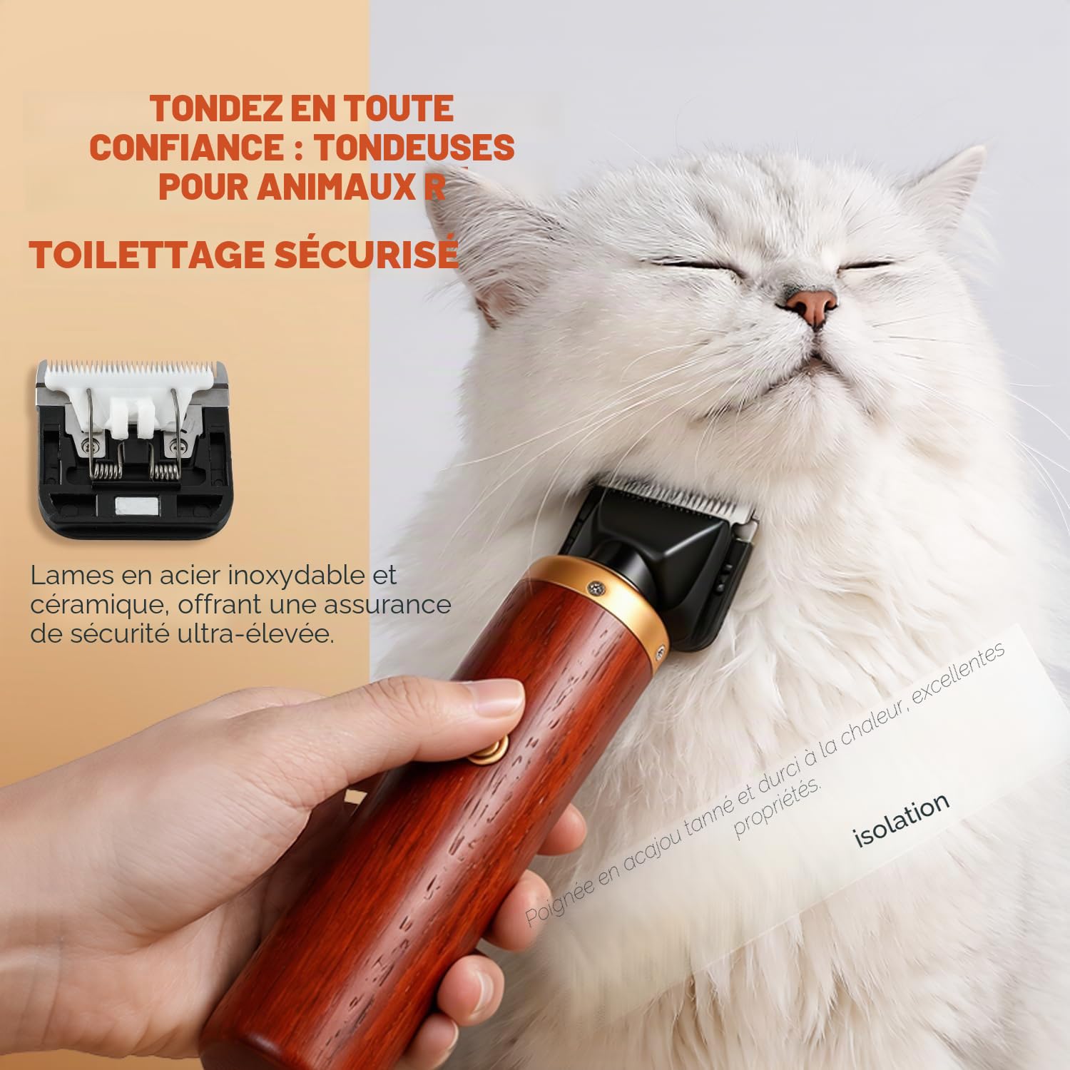 CGOLDENWALL Tondeuse Chien 55W, Bruit Bas, Cordon 3m, Chiens Chats | Professionnelle, <50dB, 2 Peignes (3/6mm, 9/12mm), Tous Pelages, Cable 3m