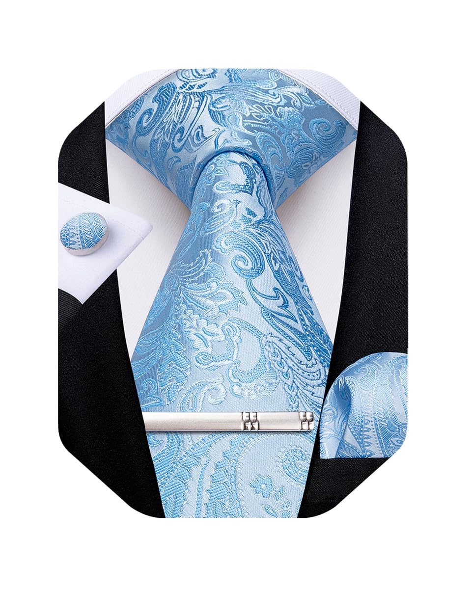 DiBanGu Silk Floral Ties for Men Woven Paisley Necktie