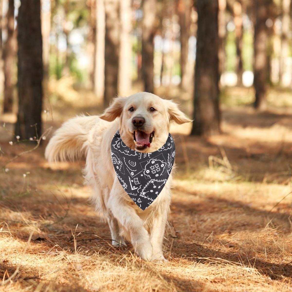 Cani Bandana Foulard Regolabile per Animali Domestici Cucciolo Cane Piccolo Gatto (S, Nero)