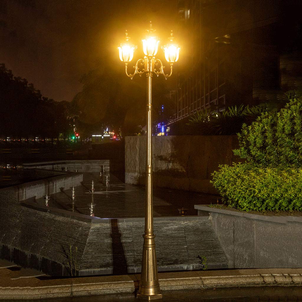 Columna de luz para exteriores, impermeable, para exteriores, patio, jardín, pasarela o decoración, poste de luz dorado con paneles de luces europeas de vidrio transparente, 3 cabezales