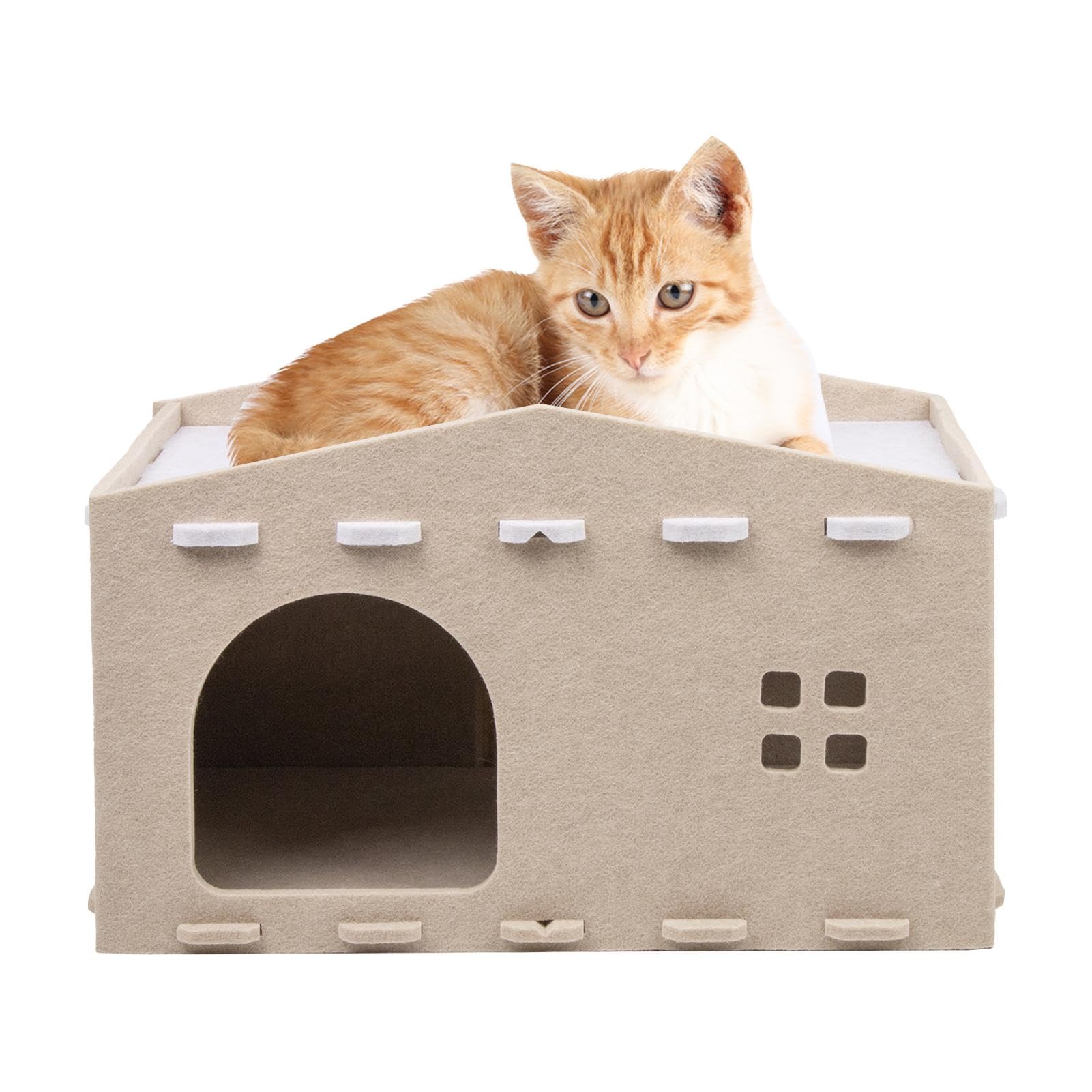Lit à 2 couches pour chat et chaton : maison d'extérieur en bois