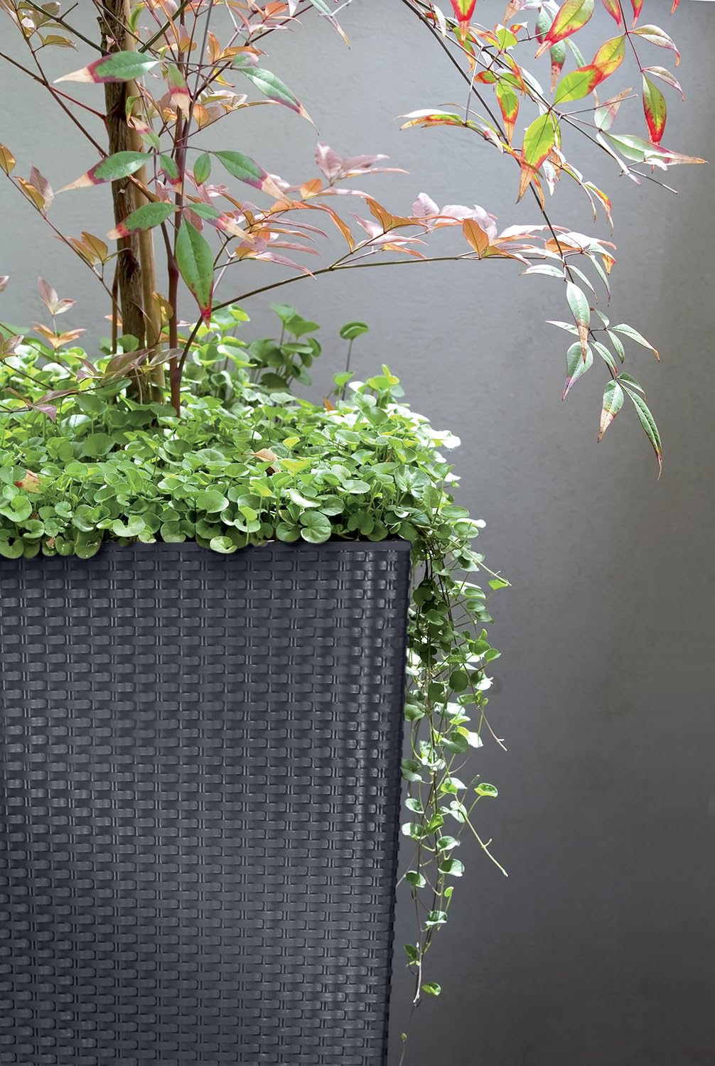 IMJ-Global Vaso Fioriera per piante Fiori DRTS Grande H61 Simil Rattan da interno esterno Quadrato Alto Nero 49 Litri 32,5x32,5x61 cm design Moderno in plastica da balcone