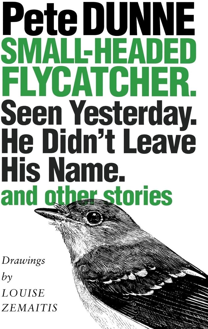 Small-Headed Flycatcher: Seen Yesterday. He Didn't Leave His Name. and Other Stories