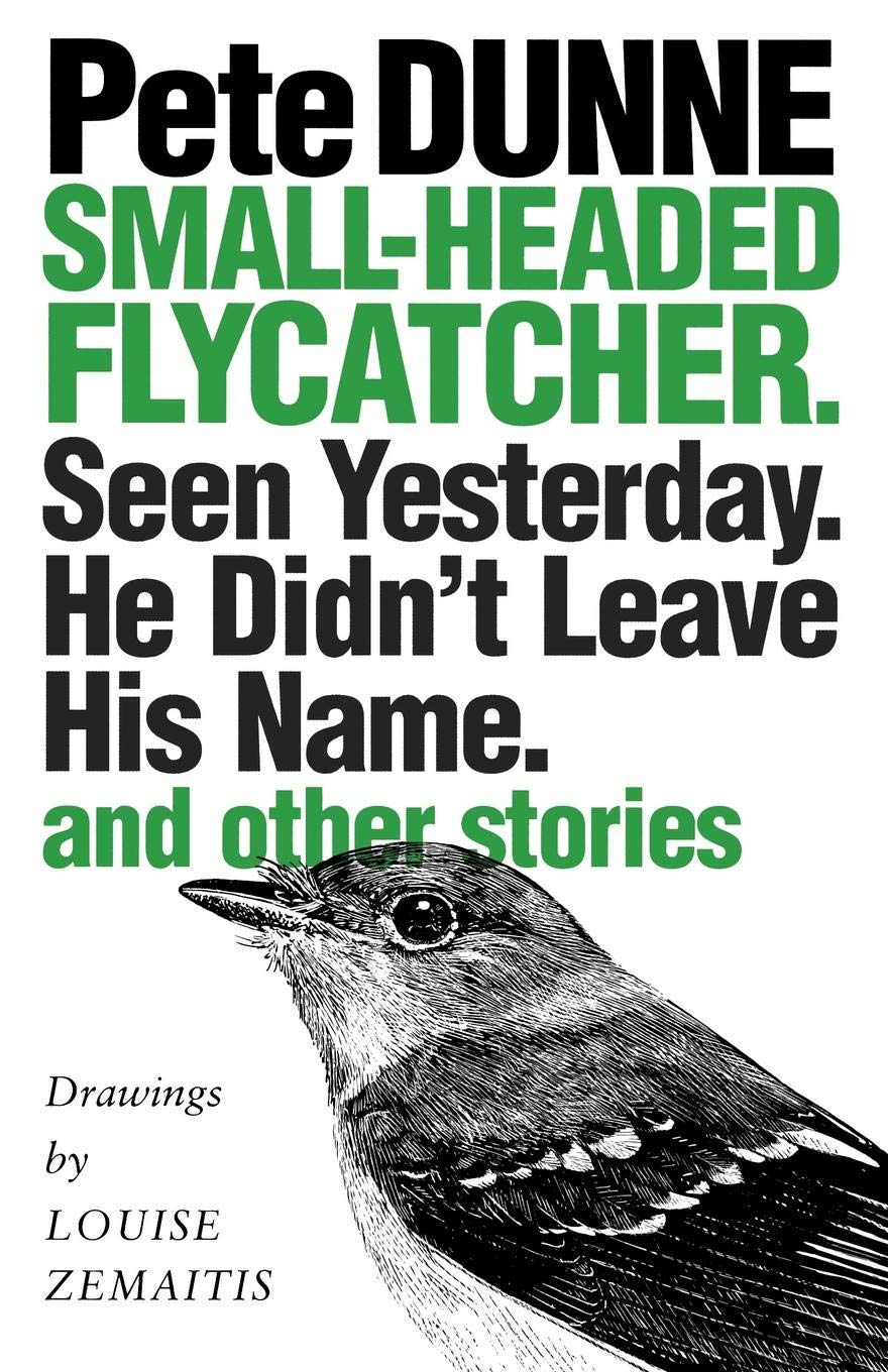 Small-Headed Flycatcher: Seen Yesterday. He Didn't Leave His Name. and Other Stories
