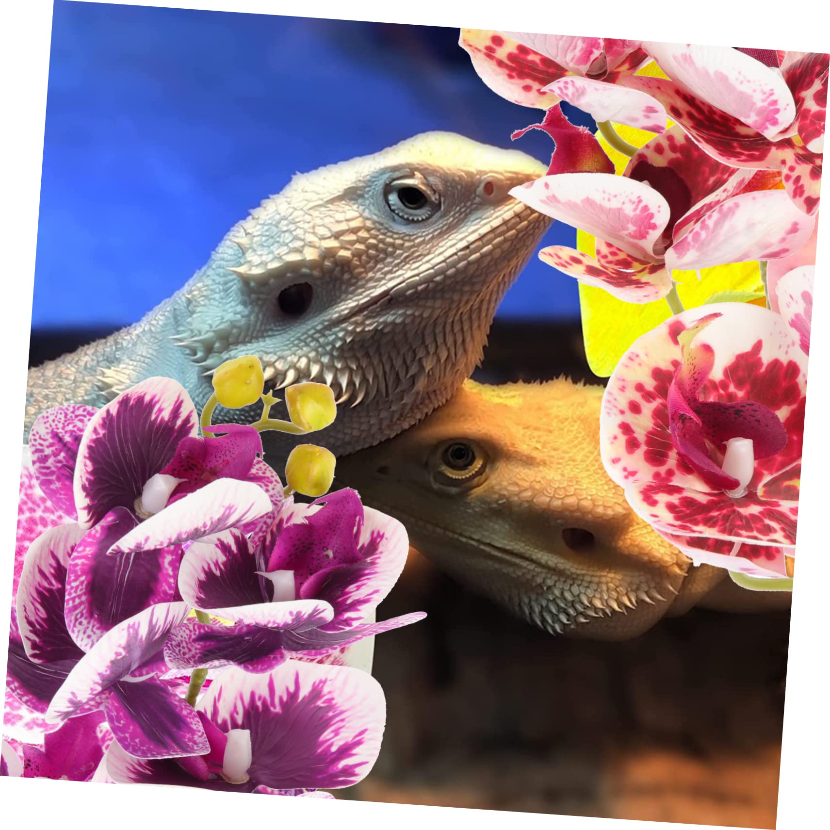 Angoily 4piezas Plantas Artificiales para Terrarios y Acuarios Decoración De Reptiles Accesorios para Tortugas y Lagartos Ornamentos Naturales Lifelike