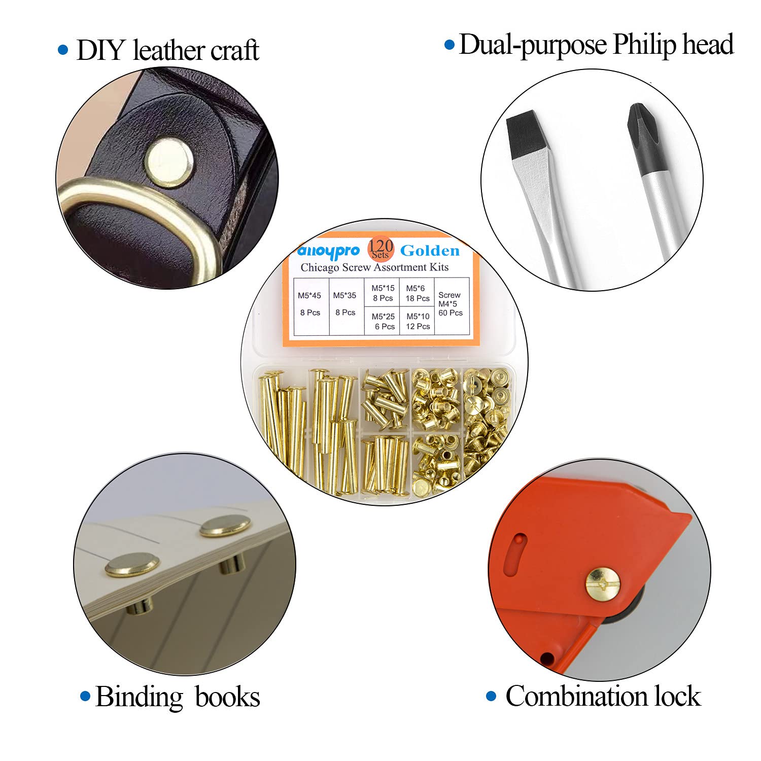 Alloypro 120 Pcs (60 Pair) M5 x 6/10/15/25/35/45 Golden Phillips Chicago Screws Binding Screw Posts,Scrapbook Photo Albums Binding Screws Assorted Kit 6 Sizes for Leather Saddles Purses Belt Repair