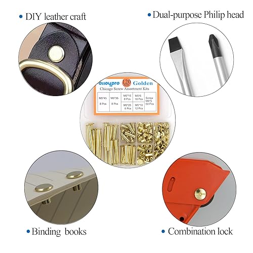 Miniatura 5 de Alloypro - 120 piezas (60 pares) M5 x 61015253545 Golden Phillips Chicago Tornillos de fijación, tornillos de fijación para álbumes de fotos, kit