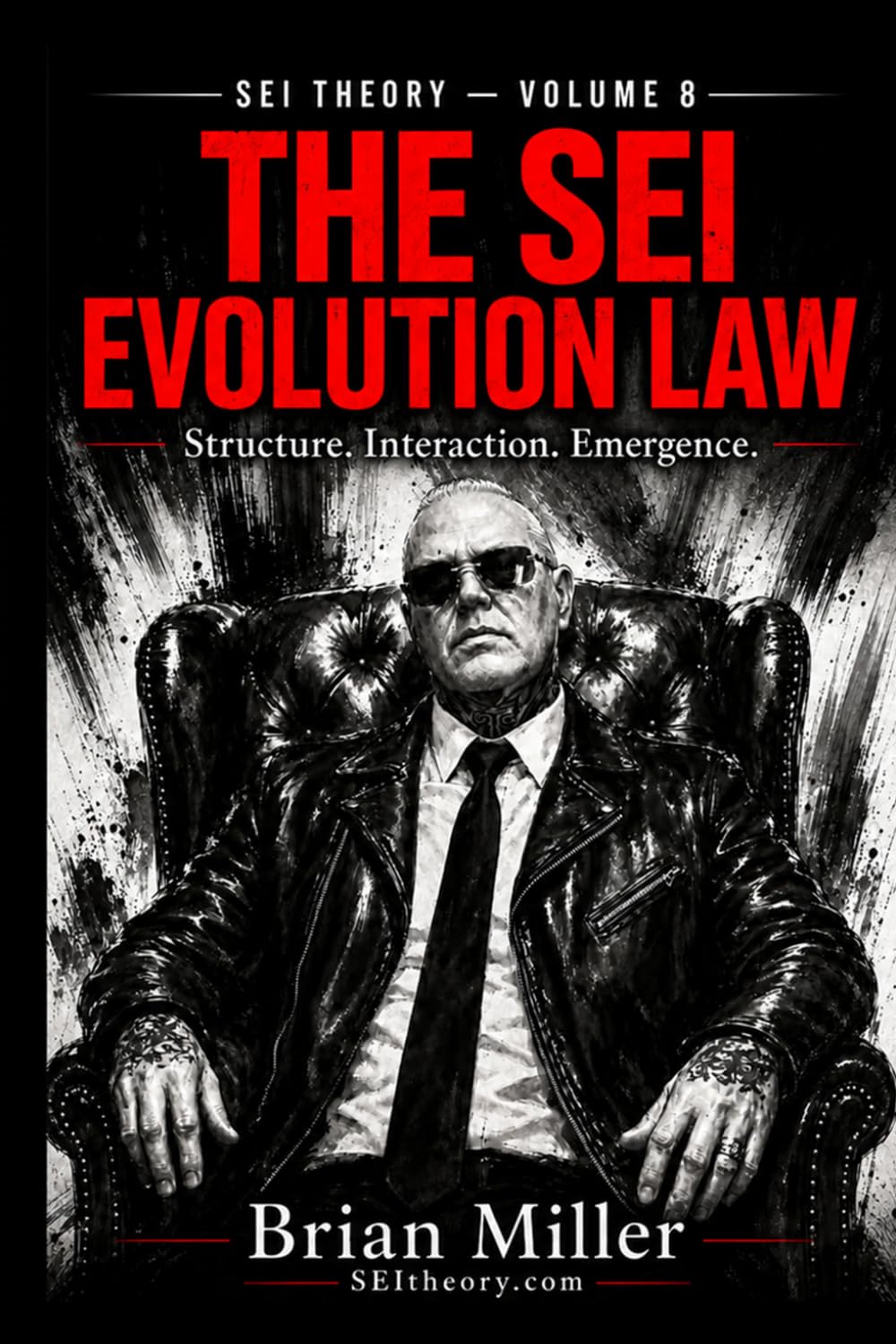 THE SEI EVOLUTION LAW: Structure, Interaction, Emergence, and the Recursion of Reality. (SEI THEORY)