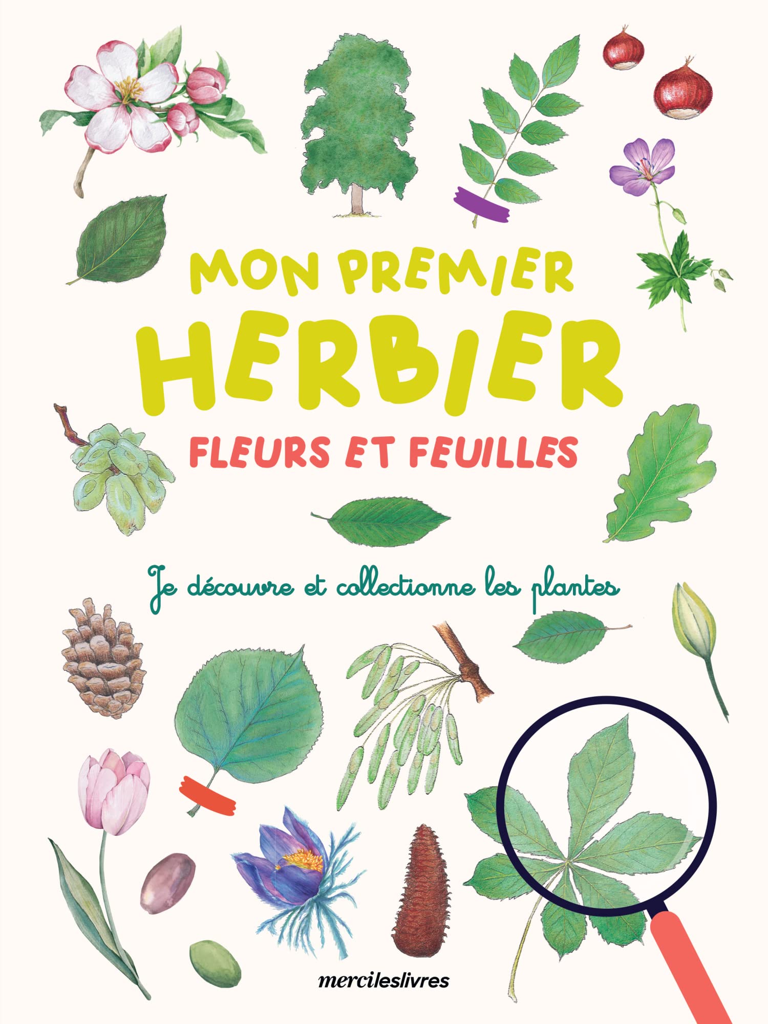 Mon premier herbier - Fleurs et feuilles: Je découvre et collectionne les plantes