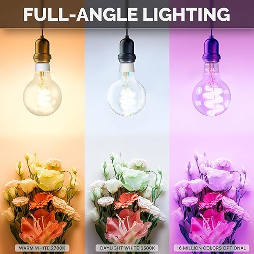 Miniatura 3 de MOES Bombillas LED Smart G80 Edison, bombillas inteligentes WiFi G25 que cambian de color, 2700K-6500K CW y RGB regulables, control remoto Smart