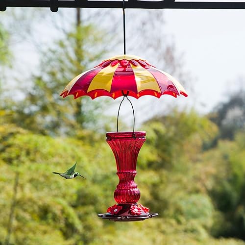 Miniatura 7 de Comederos de cristal para colibríes para colgar al aire libre, comedero de néctar de colibrí rojo con perca, capacidad de 20 onzas con 5 puertos de