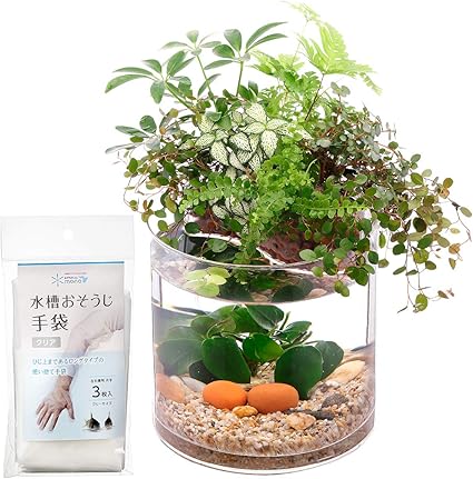 Amazon アクアテリア P150s ベタ用 ガラス水槽と水耕栽培プランター 水槽おそうじ手袋セット Aquaterior アクアテリア みずものコム 飼育セット 通販 Amazon アクアテリア P150s ベタ用 ガラス水槽と水耕栽培プランター 水槽おそうじ手袋セット Aquaterior アクアテリア みずものコム 飼育セット 通販