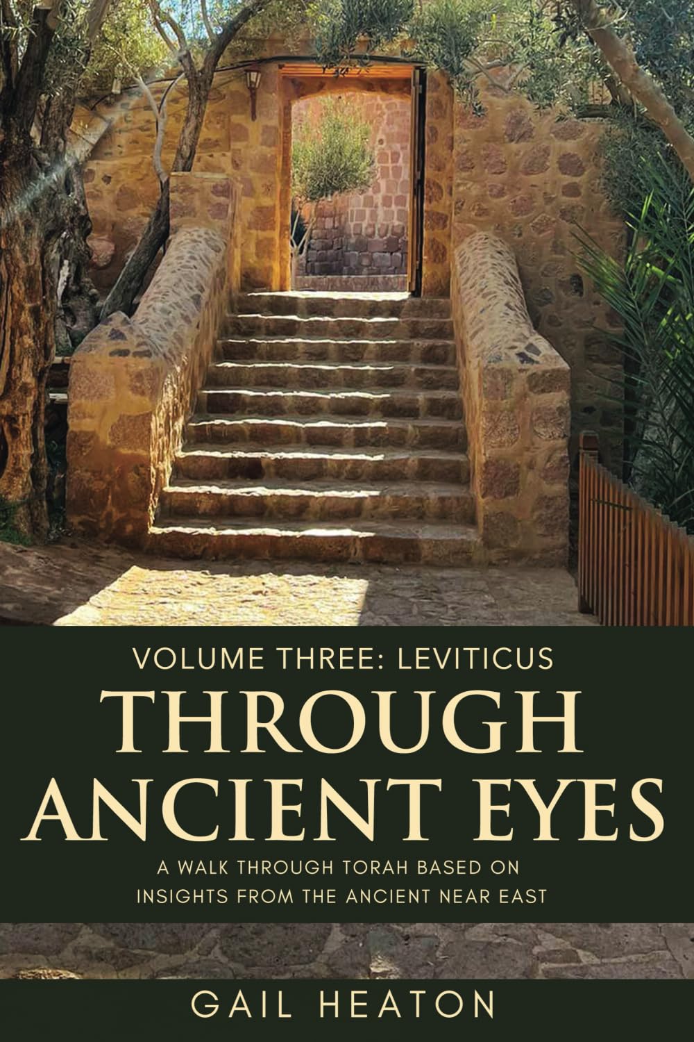Through Ancient Eyes: Volume Three: Leviticus
