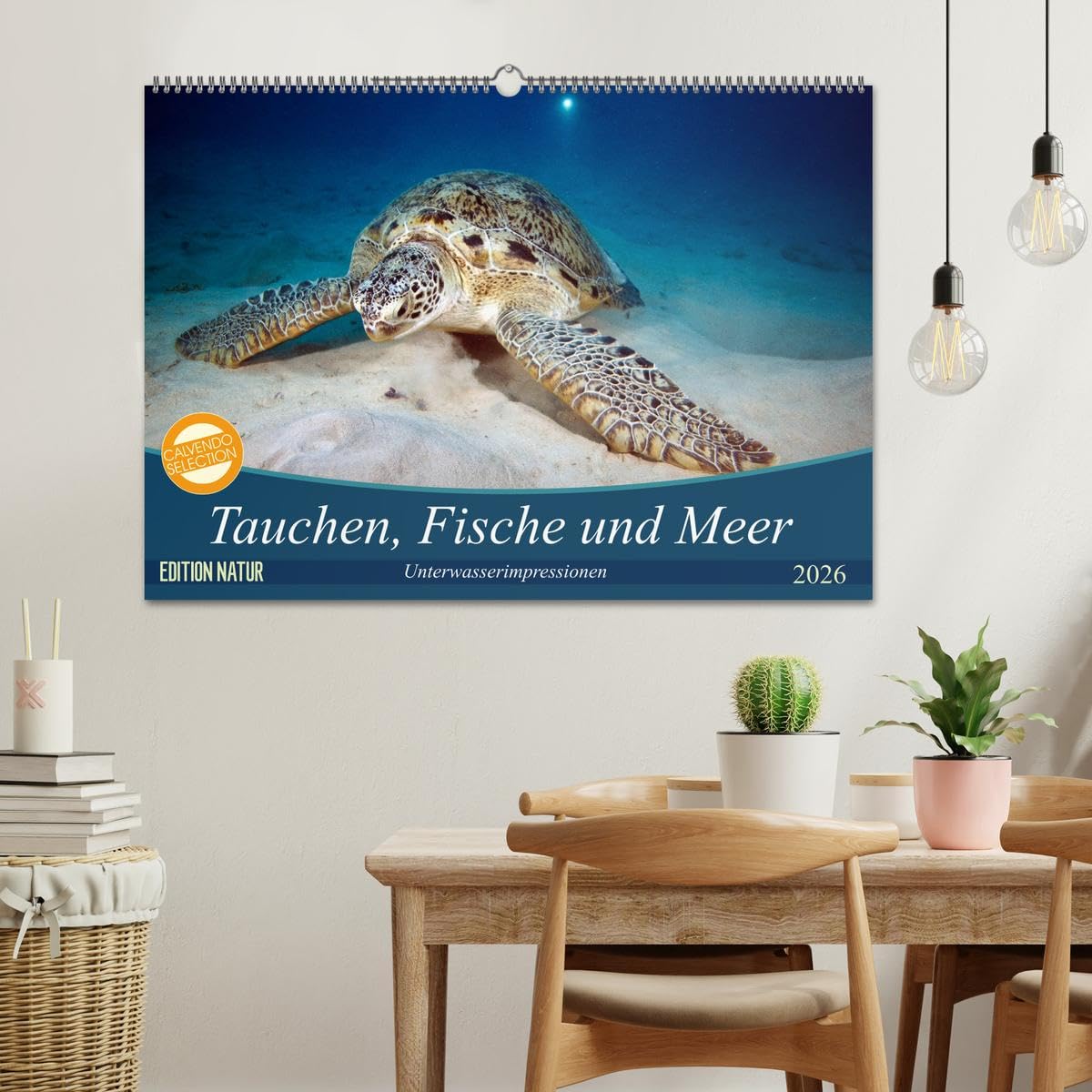 Tauchen, Fische und Meer (Wandkalender 2026 DIN A2 quer), CALVENDO Monatskalender: Unterwasserimpressionen