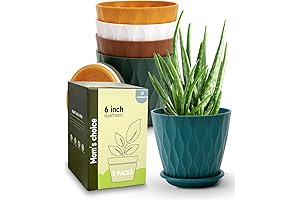 6" Small Indoor Flower Pots, Drainage Hole, 5 Pack