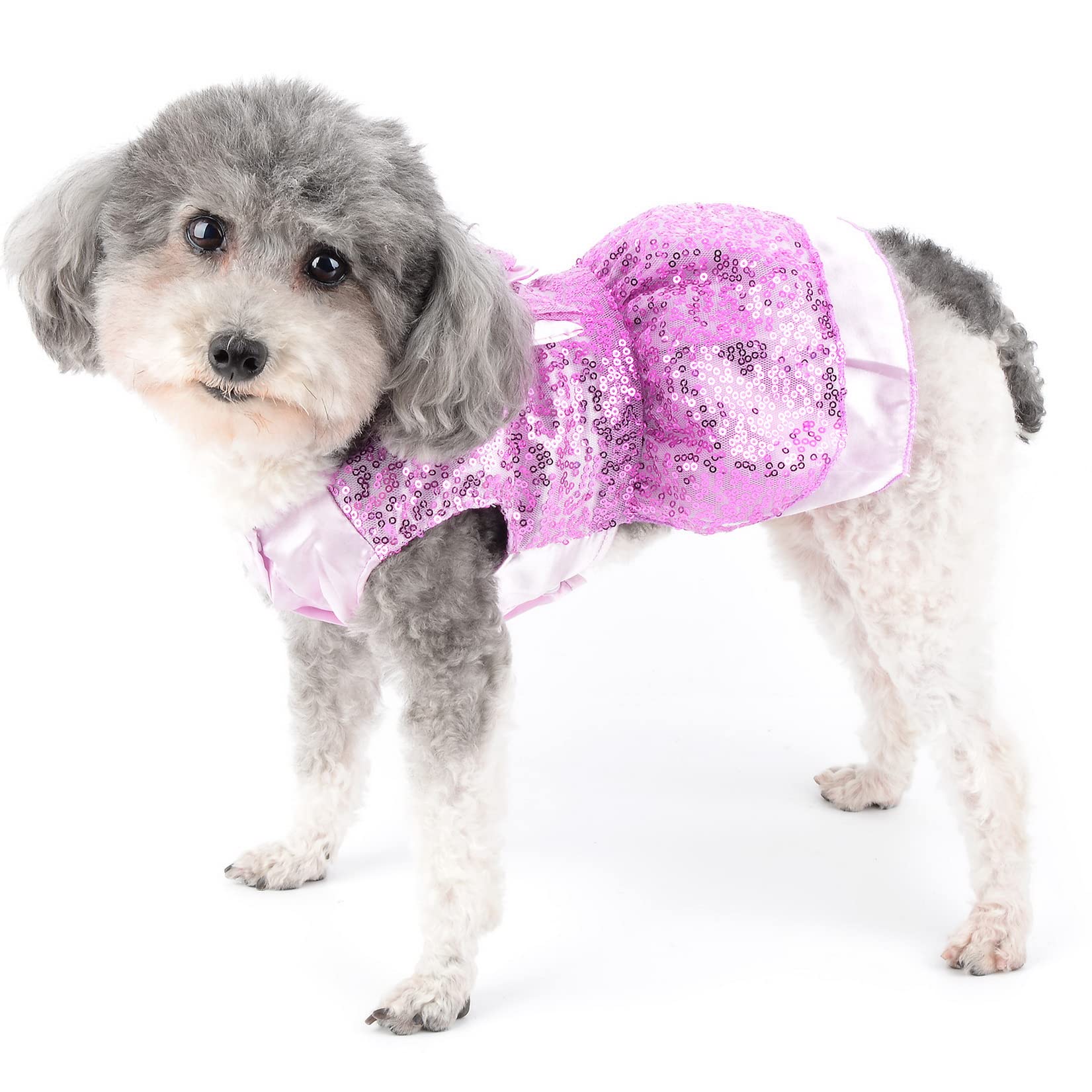 Vestito Principessa Scozzese Per Cani Piccoli - Abito Estivo Con Cuore E Ali - Foto 3