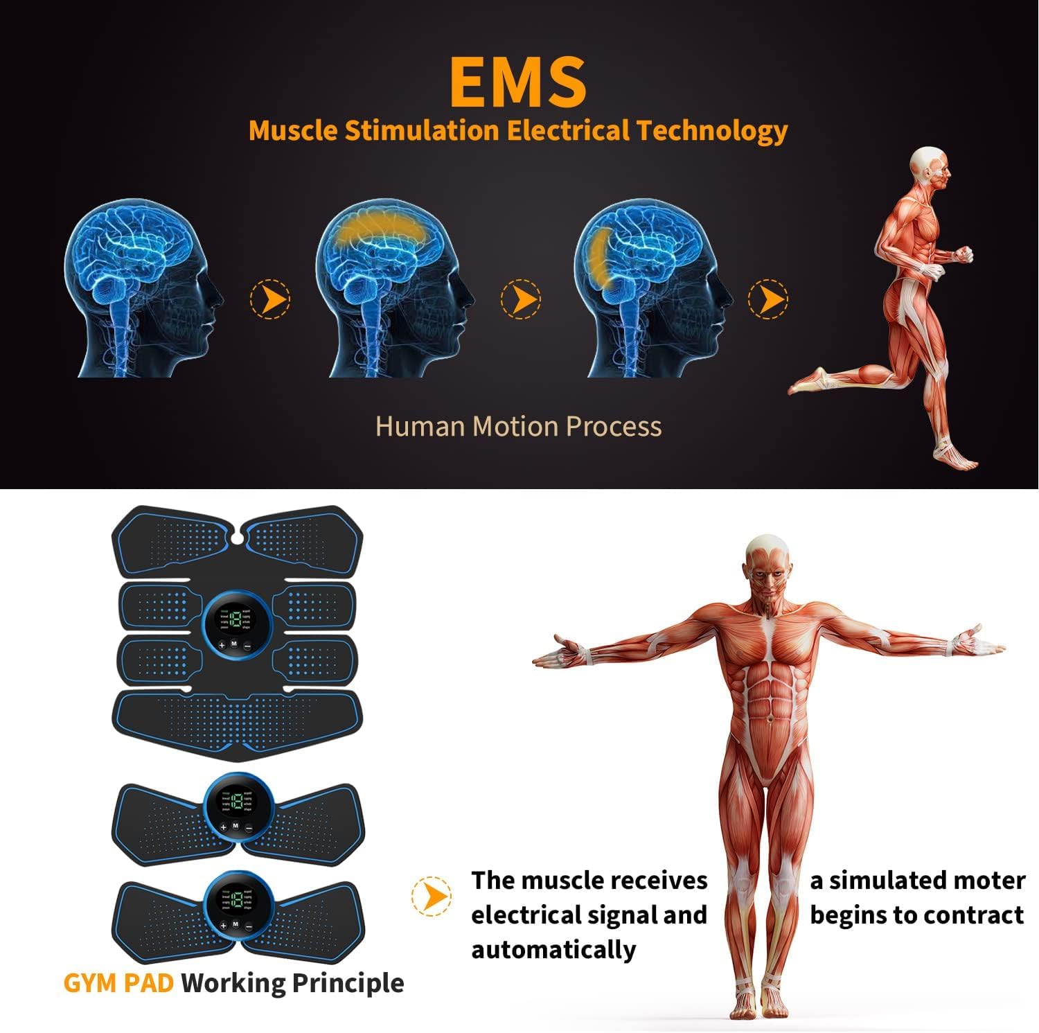 Stimulateur Musculaire EMS,EMS Ceinture Abdominale,Ceinture Abdominale Électrostimulation,8 Modes 19 Niveaux,Appareil de Musculation pour Abdomen/Bras/Jambes, Femme Homme