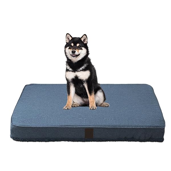 DaysU Dog Bed for Medium Dogs, Orthopedic Dog Beds with Removable Washable Cover, Medium Egg Crate Foam Pet Bed Mat, Light Navy, Suitable for Dogs Up to 35 Ibs, 35x22x3in