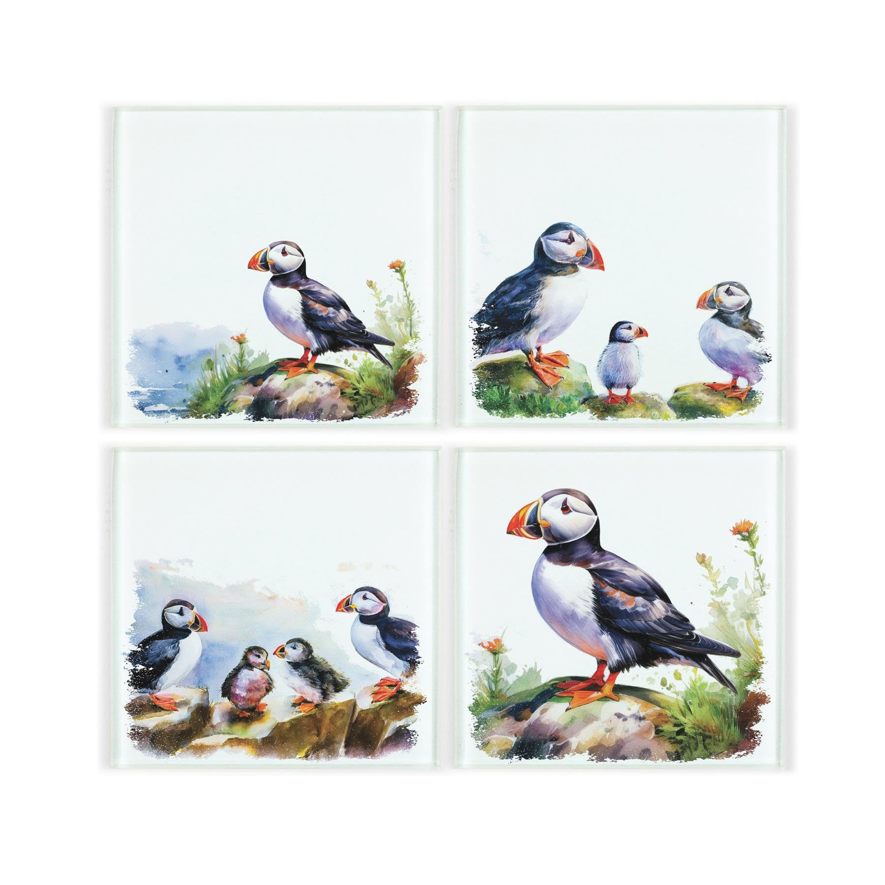 Purely Home Puffins Glass Coaster Set - Coastal Puffling Seabird Gifts - Set Of Four (4) Square Drinks Coasters