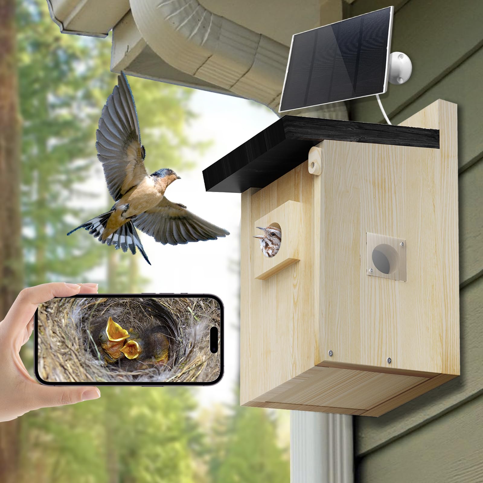 Solar Vogelnest Smart Holz Vogelhaus mit Kamera Premium Zedernholz Vogelhaus Wetterfestes Design Genießen Sie Vogelverhalten Beobachten Während Sie Vögel Unterstützen