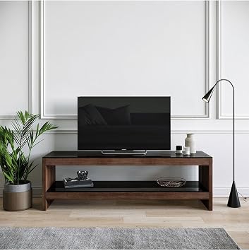 Neostill Pythagoras Tv Stand/Wooden And Smoked Tempered Glass Tv301