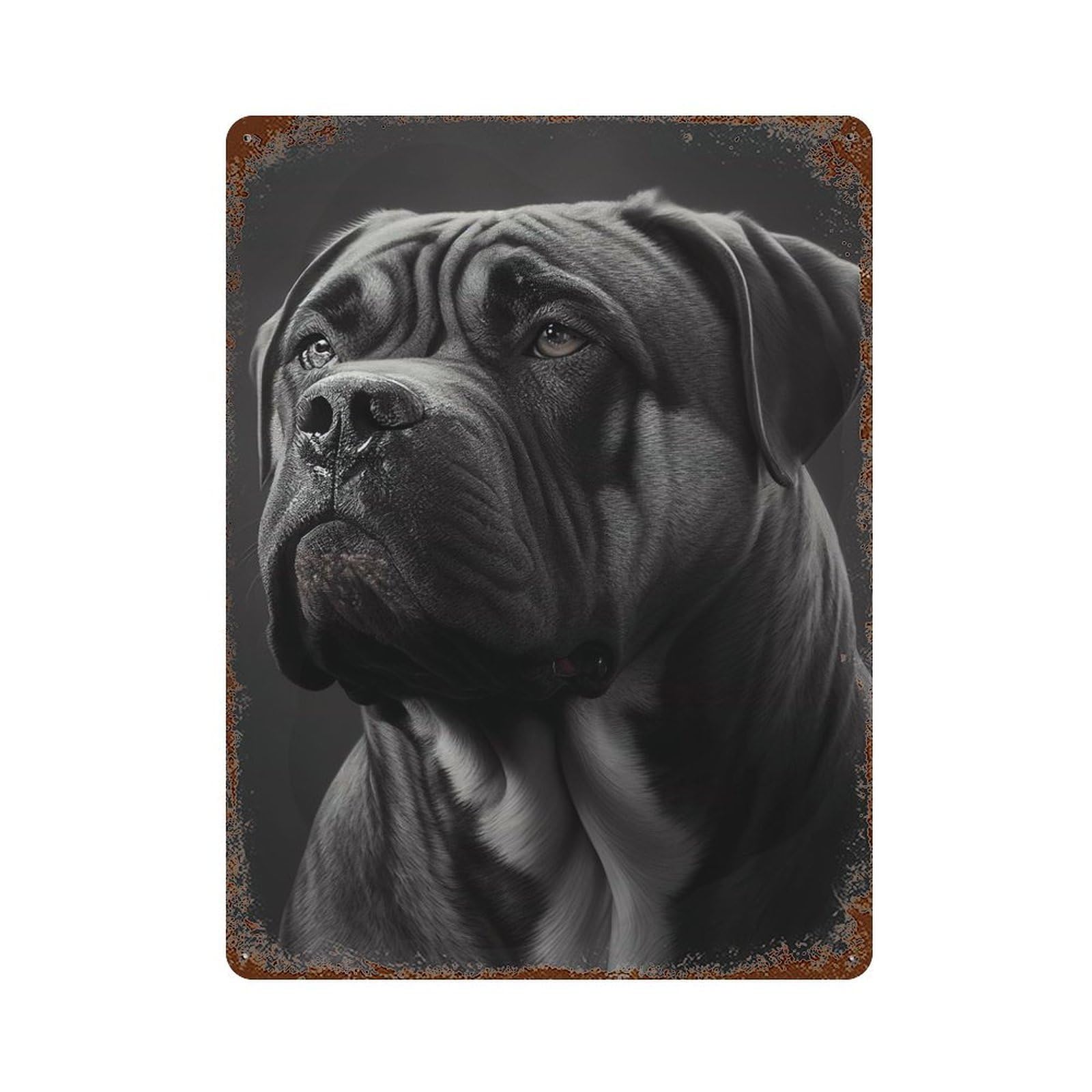 Cane Corso Portrait Rust Effect Tin Sign 15.7"x11.8", Industrial Home Decor for Bistro, Counter And Cafe Decor