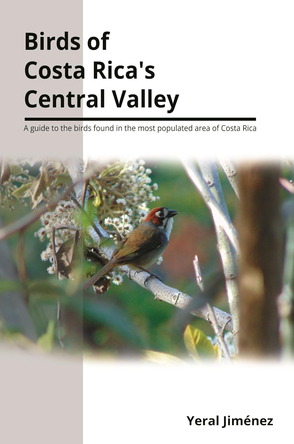 Birds of Costa Rica's Central Valley      [Print Replica] Kindle Edition