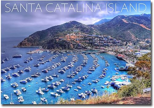 Imán para nevera de Santa Catalina Island, California, tamaño 2.5" x 3.5" disponible en Yaxa Peru