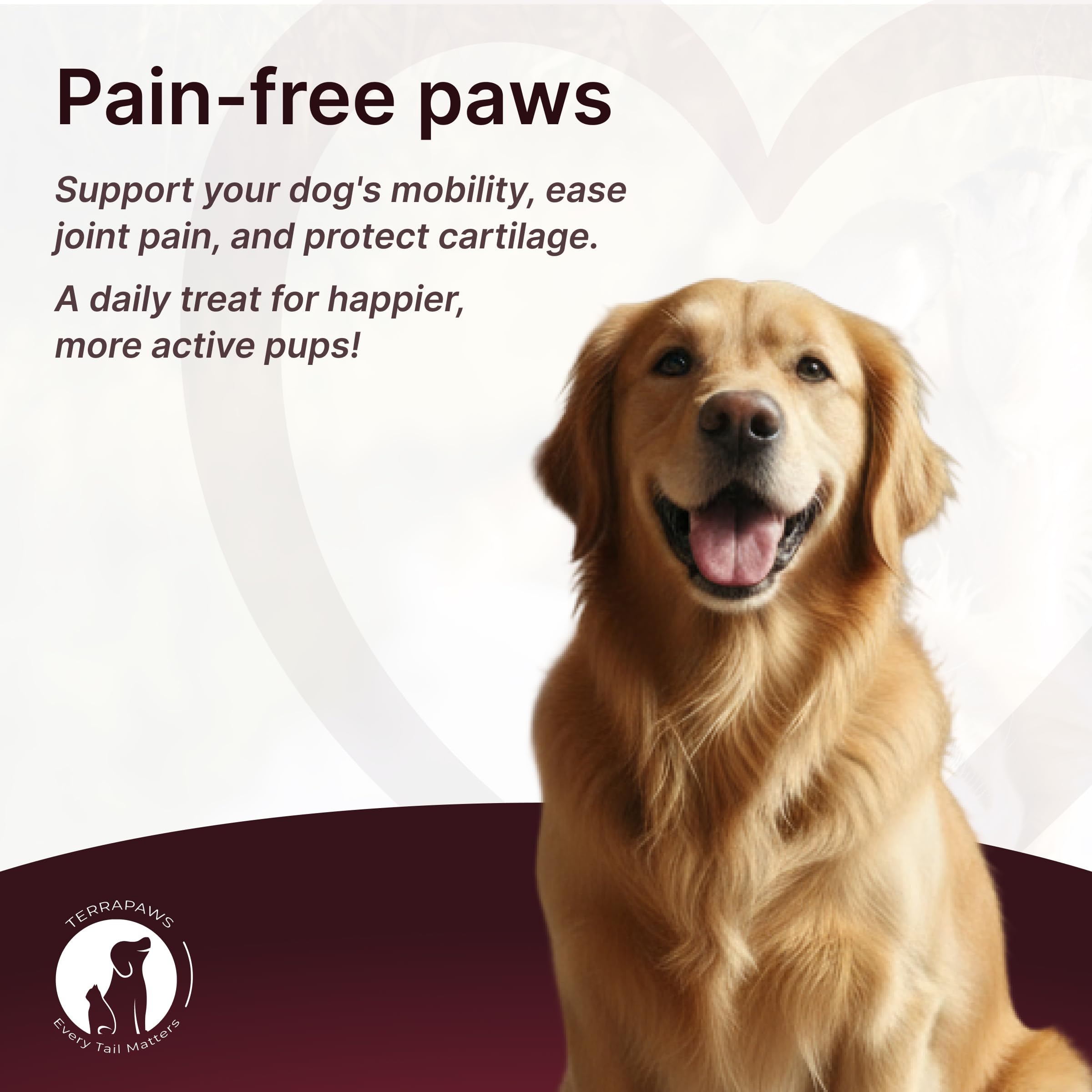 Hip & Joint Supplement for Dogs – Mobility Support with Glucosamine, Chondroitin, MSM, Turmeric, Mussel, Hemp Dog Joint Pain Relief – 120 Soft Chews for Large, Medium, Small Dogs Breeds– Beef Flavor - image 6