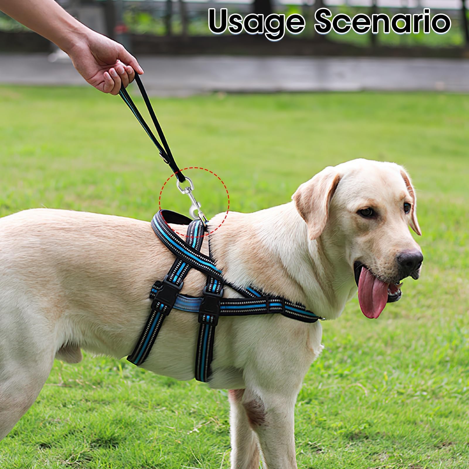 2 Pezzi Moschettoni Girevoli Per Guinzaglio Cani | Ganci A Sgancio Rapido | Lega Di Zinco | Ruotano A 360° - Foto 2