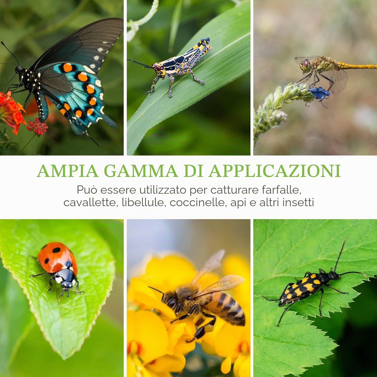 Gabbia per Insetti - Habitat Pieghevole per Farfalla Casetta 30 x 35 cm - Portatile Adatto per Creare un Ambiente Sicuro e Confortevole per Gli Insetti