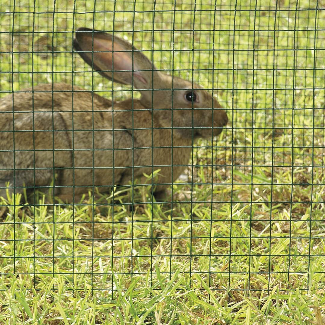 Catral 55010020 - Galvanised Square Mesh, 100 x 300 x 1.9 cm, Green