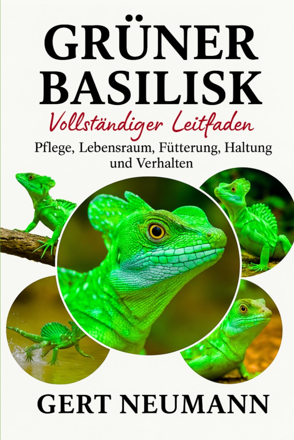 Grüner Basilisk: Vollständiger Leitfaden zu Pflege, Lebensraum, Fütterung, Haltung und Verhalten