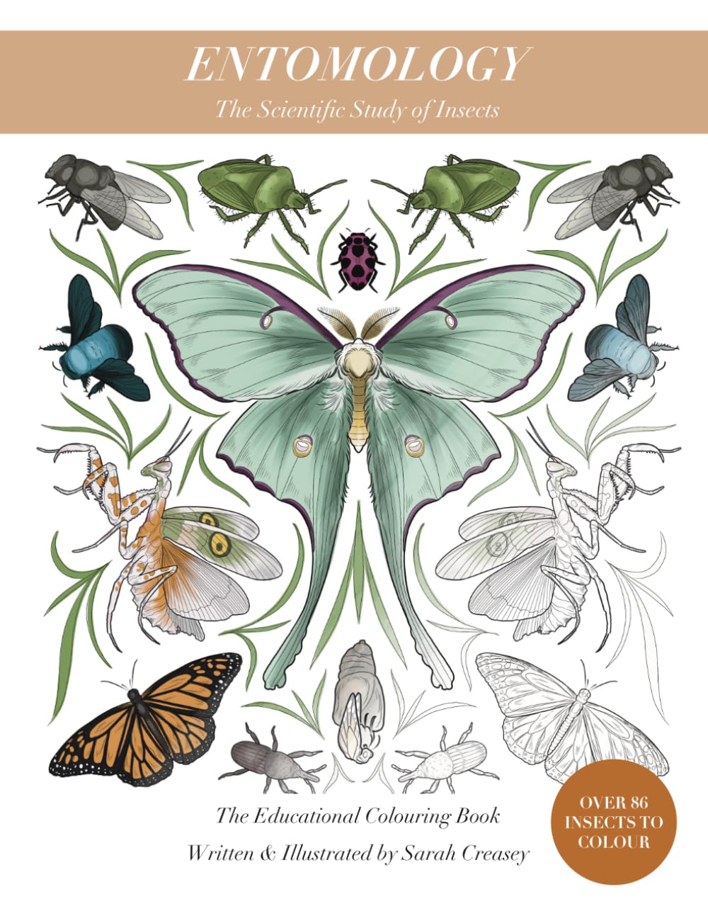 Entomology: The Educational Colouring Book