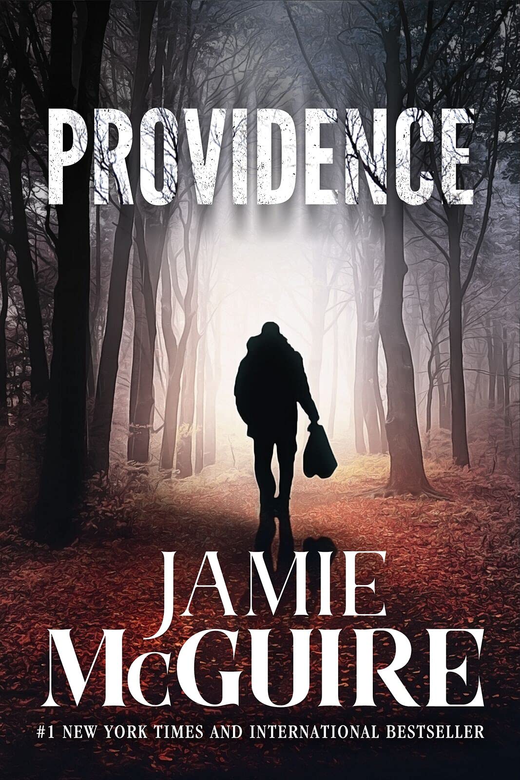 Providence (The Providence Series Book 1)