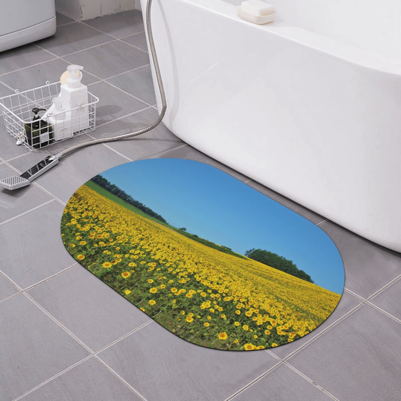 Tapis de bain terre de diatomée anti glissade pour sol humide lavable