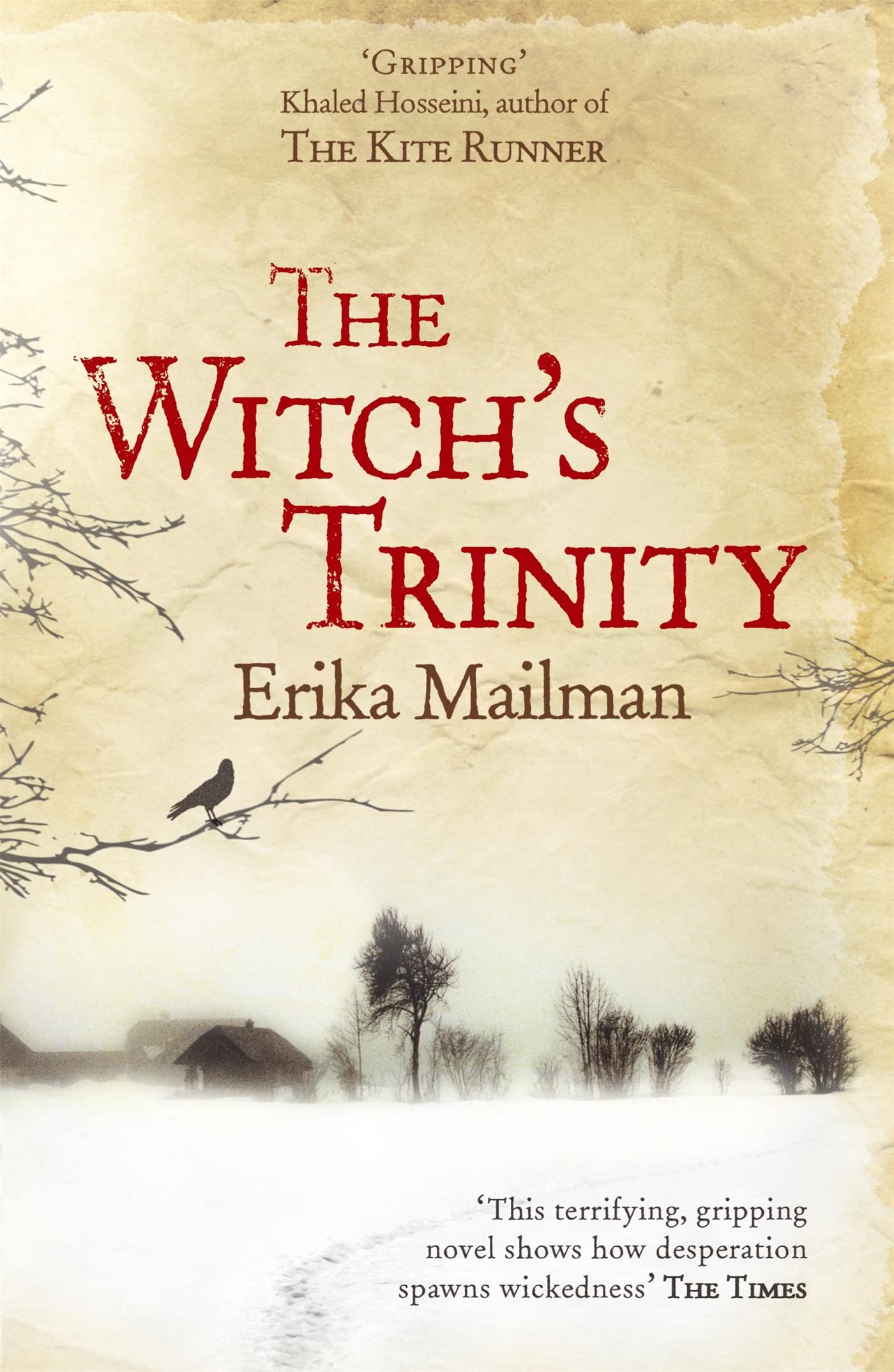 The Witch's Trinity By  Erika Mailman. 9780340962213