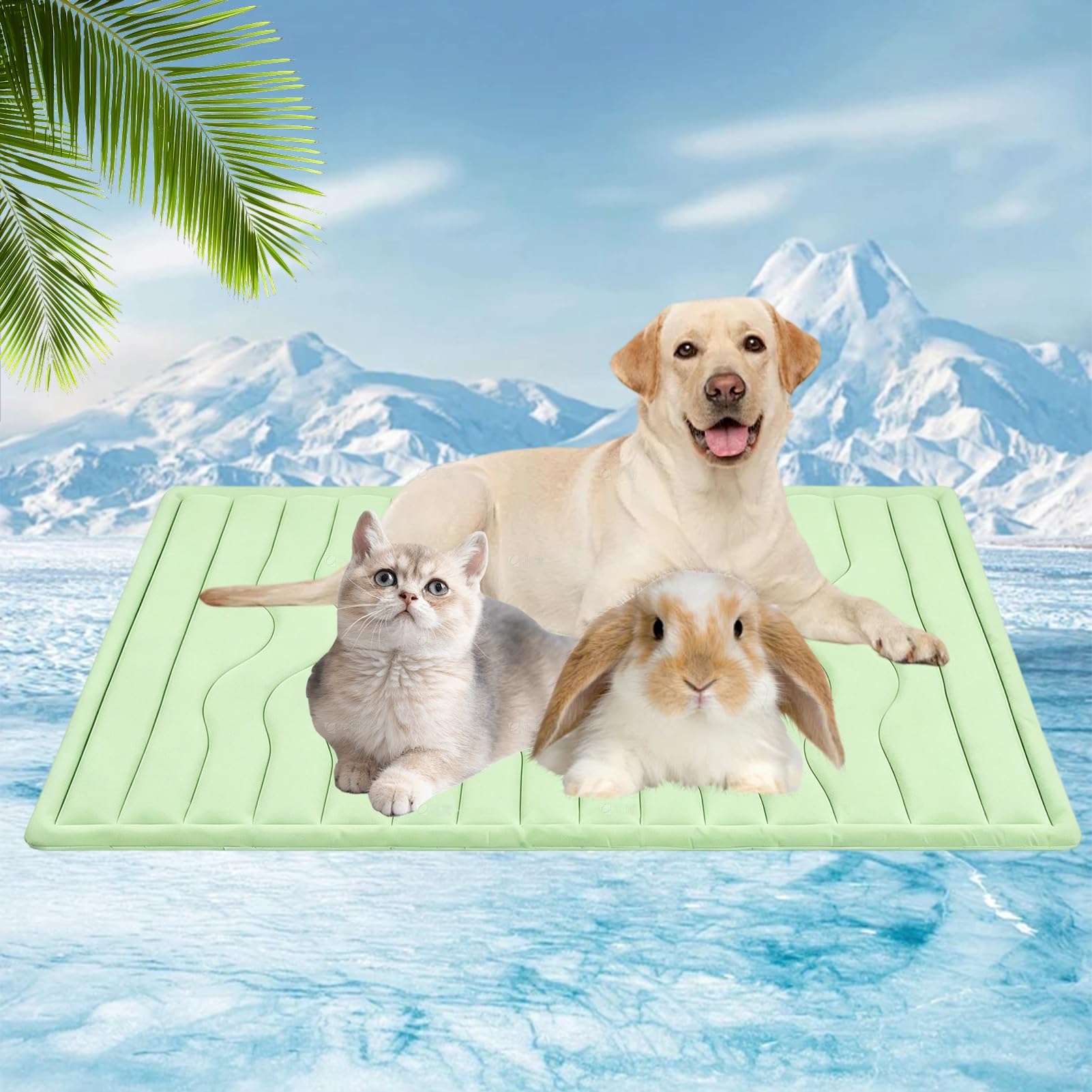 Tapis rafraîchissant pour chiens Arc-Chill vert M : stoppez le coup de chaleur estival