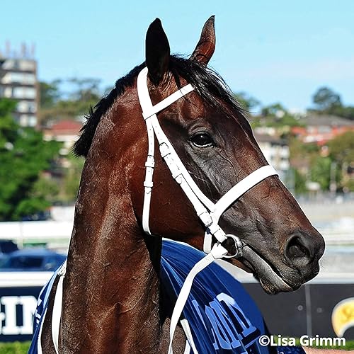 Miniatura 3 de Serie tradicional de Breyer.