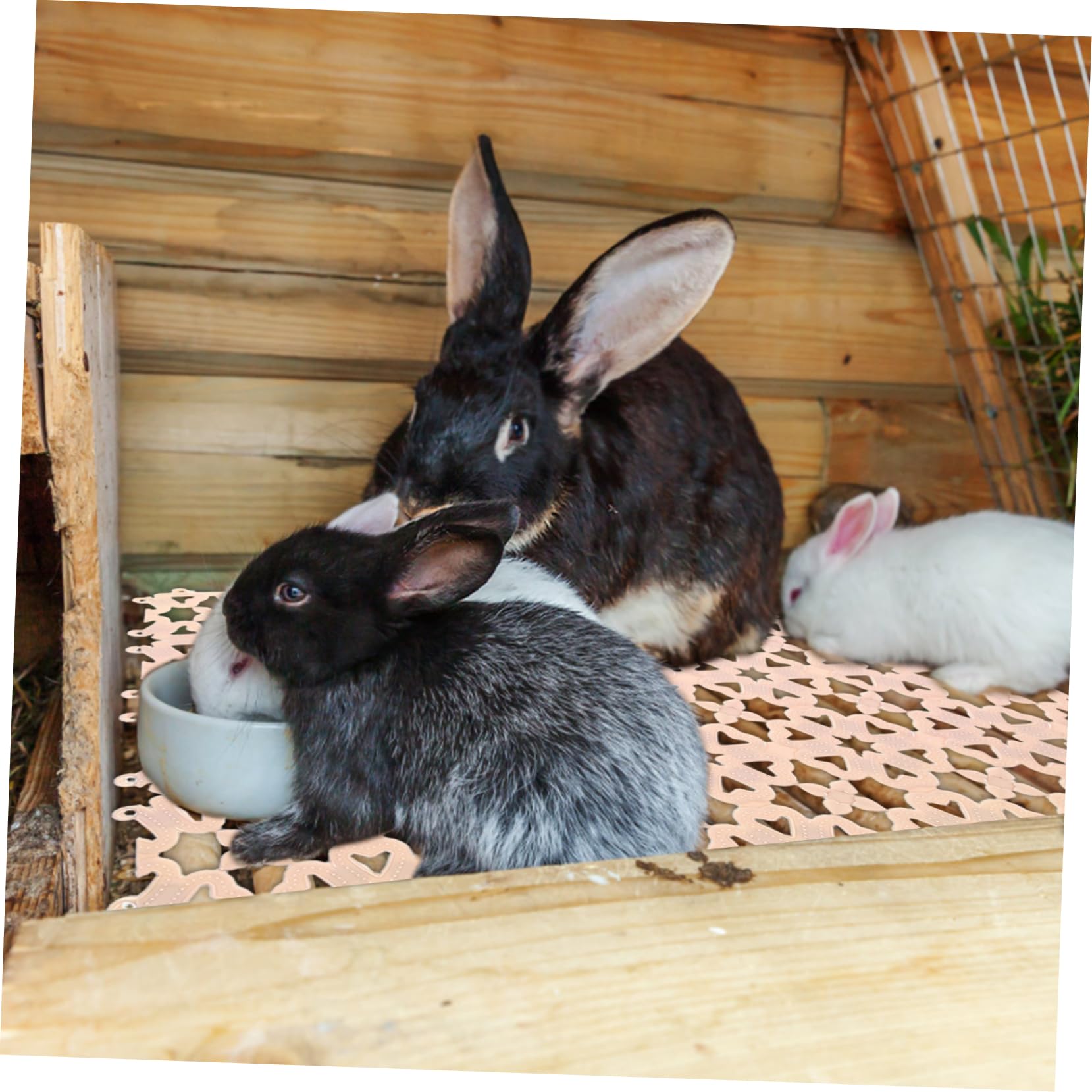 Sosoport Kaninchenkäfigboden aus PVC Bodenmatte für Haustiere mit Loch Einfache Montage für Kaninchen und Hundekäfige 10 Stück-Pack