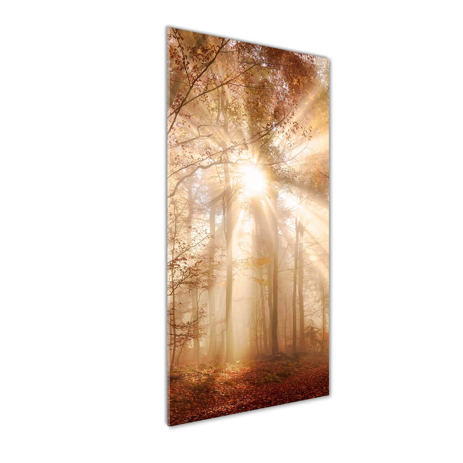 Image sur verre forêt d'automne Tulup 50x125 pour illuminer votre salon
