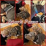 Review Image by Christopher Balacco Christopher Balacco