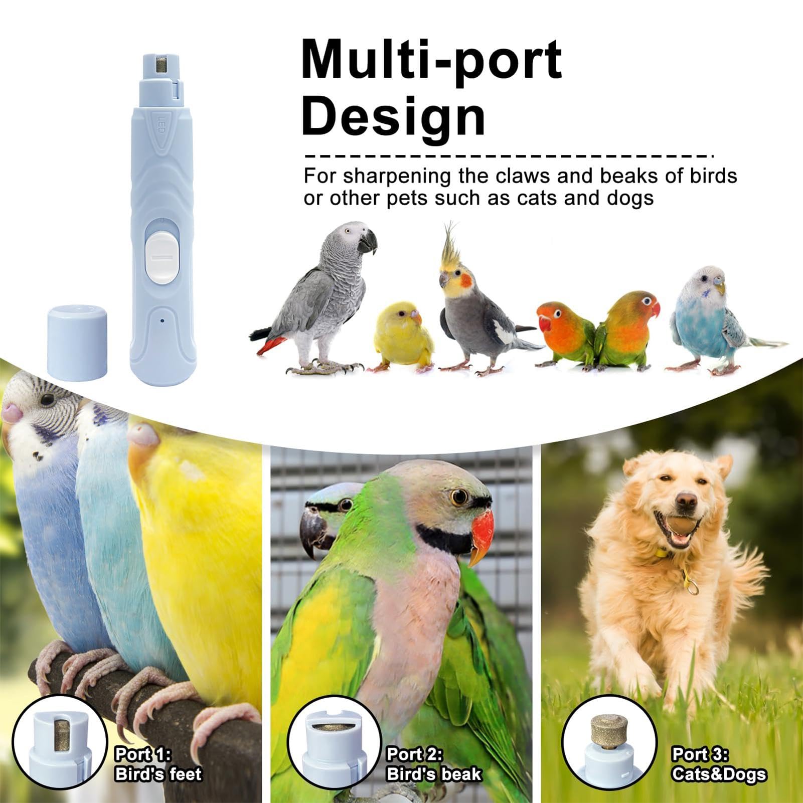 Amazon | Dfyiq ペットの爪磨き、鳥の爪やすり,鳥用ネイルグラインダー
