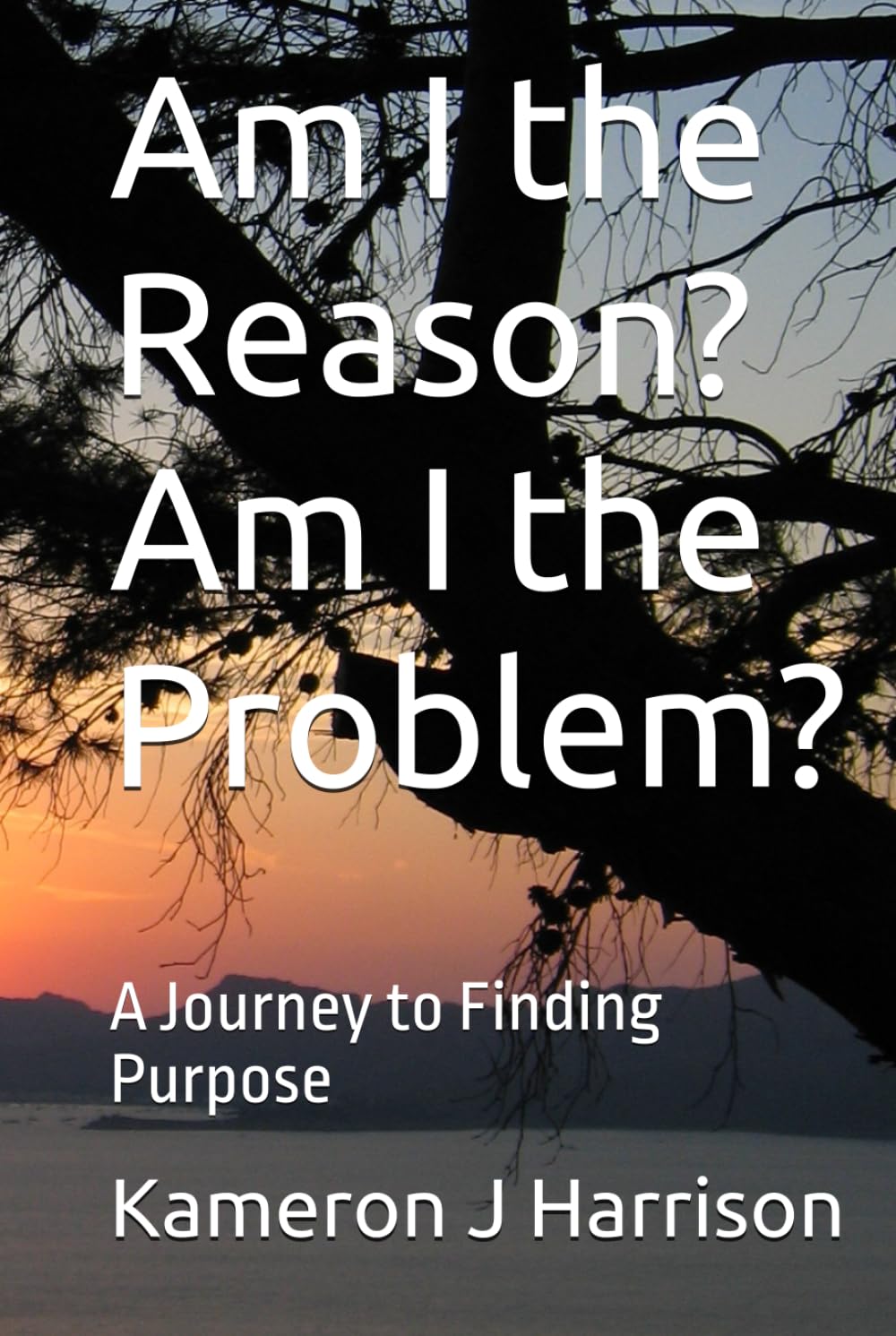 Am I the Reason? Am I the Problem?: A Journey to Finding Purpose