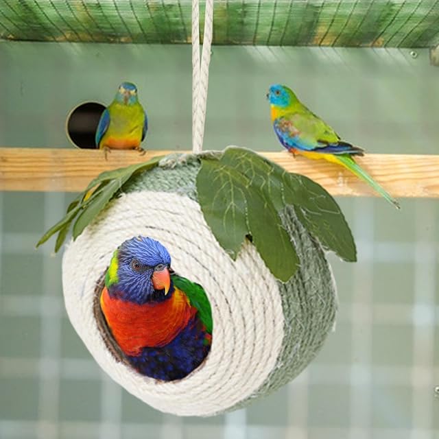 Foto 2 de 8 de Hailerio cáscara Coco para Loro