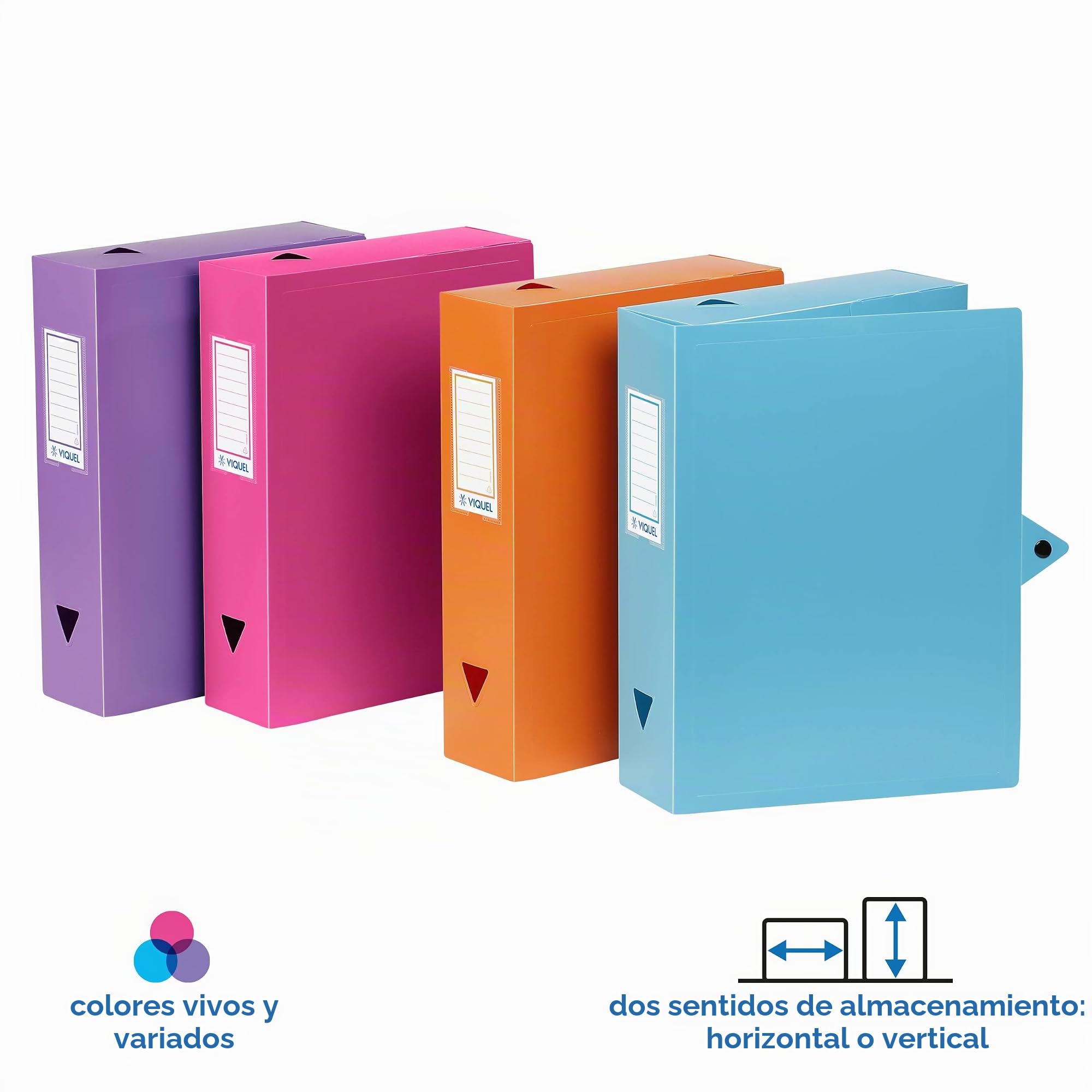Viquel - Juego de 6 cajas de archivo de plástico - 6 cajas archivadoras con cierre de botón a presión - Cajas de almacenamiento a juego - Parte trasera de 8 cm - Fabricado en Francia