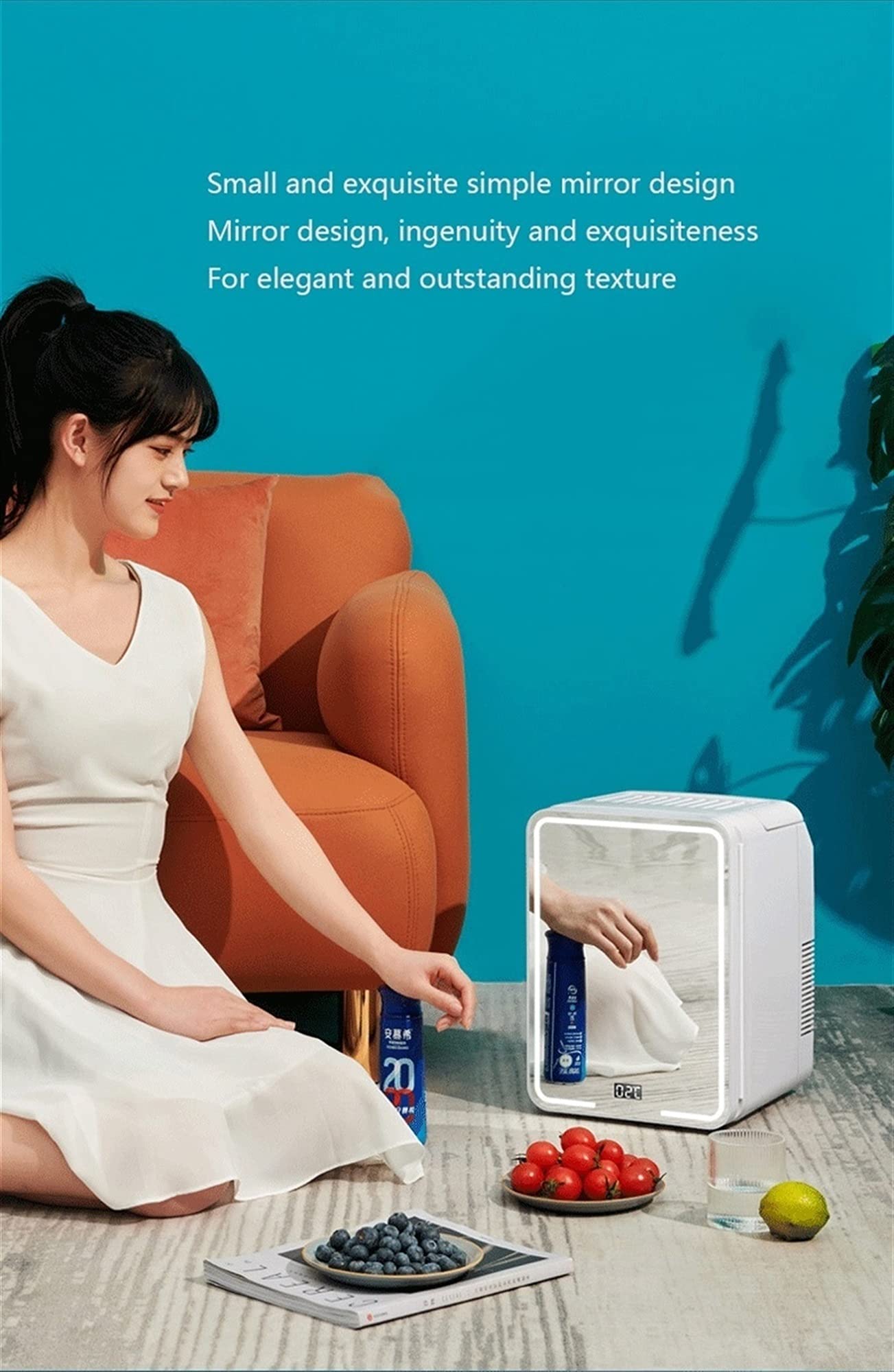 Mini refrigerador portátil compacto de 6 litros que enfría y calienta, sistema termoeléctrico CA/CC, ideal para oficina y coche, 12 V/24 V (color: A, tamaño: 24 V/110/220 V)