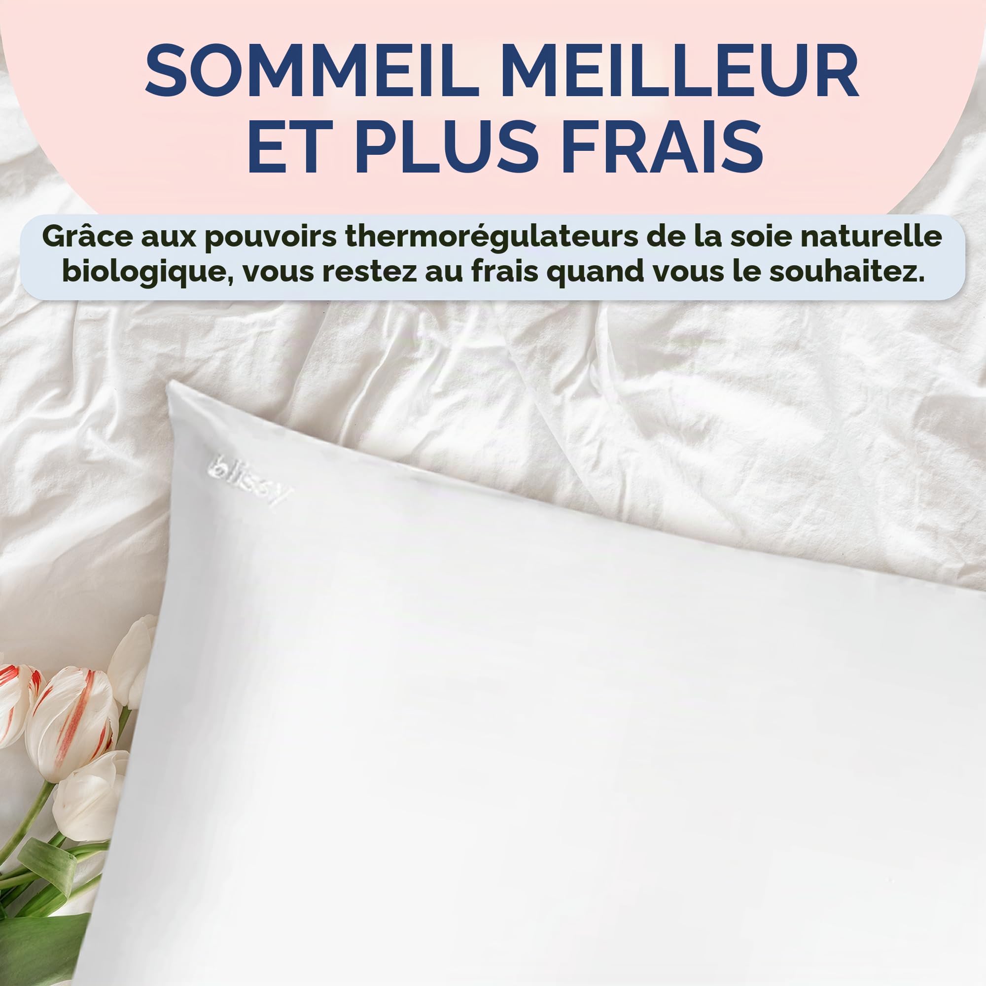 BLISSY Taie d'oreiller en Soie 100% Pure Soie de mûrier 22 mommes 6A – Taie d'oreiller en Satin de qualité supérieure pour Cheveux et Peau – Taille Standard – Fermeture éclair dissimulée – Évacuation